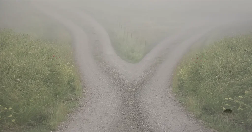 A country path divides into two directions and disappears into the mist.