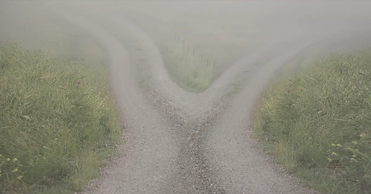 A country path divides into two directions and disappears into the mist.